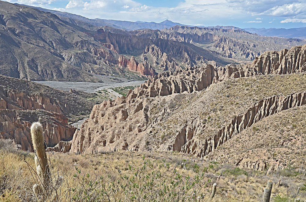 bolivia 305 crr .jpg
